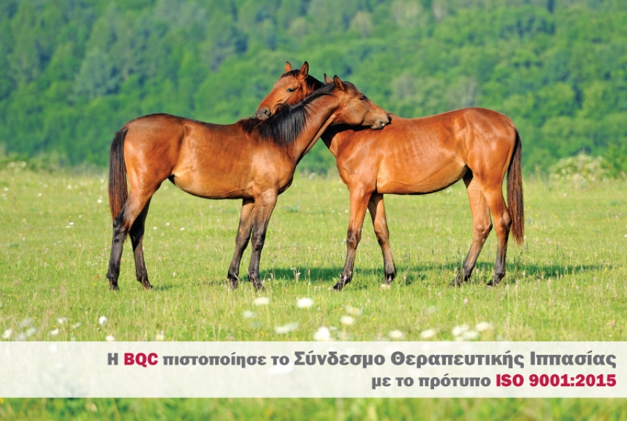 ef35c27b36b1ebd017b821eeba2f8f26 XL